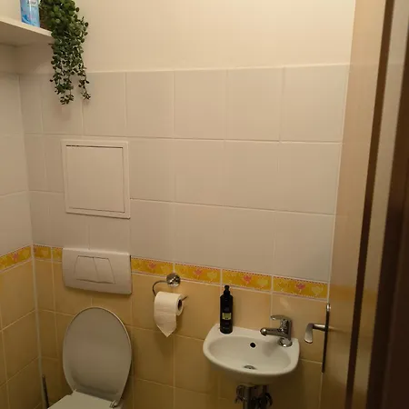 šafran * Donovaly